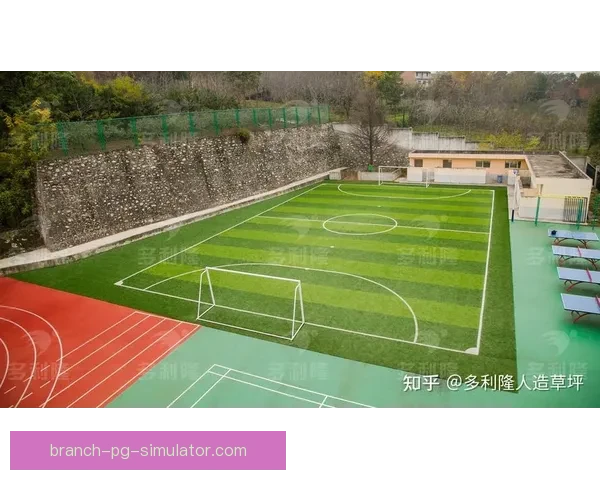 中国足协宣布二零二六赛季实施更严格草坪考核标准推动联赛场地升级